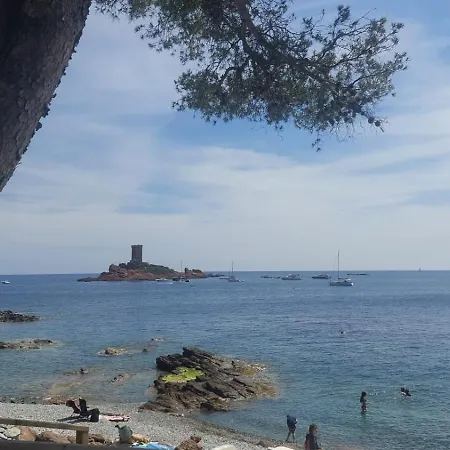 Le Du Rivage - Raphael * Saint-Raphaël